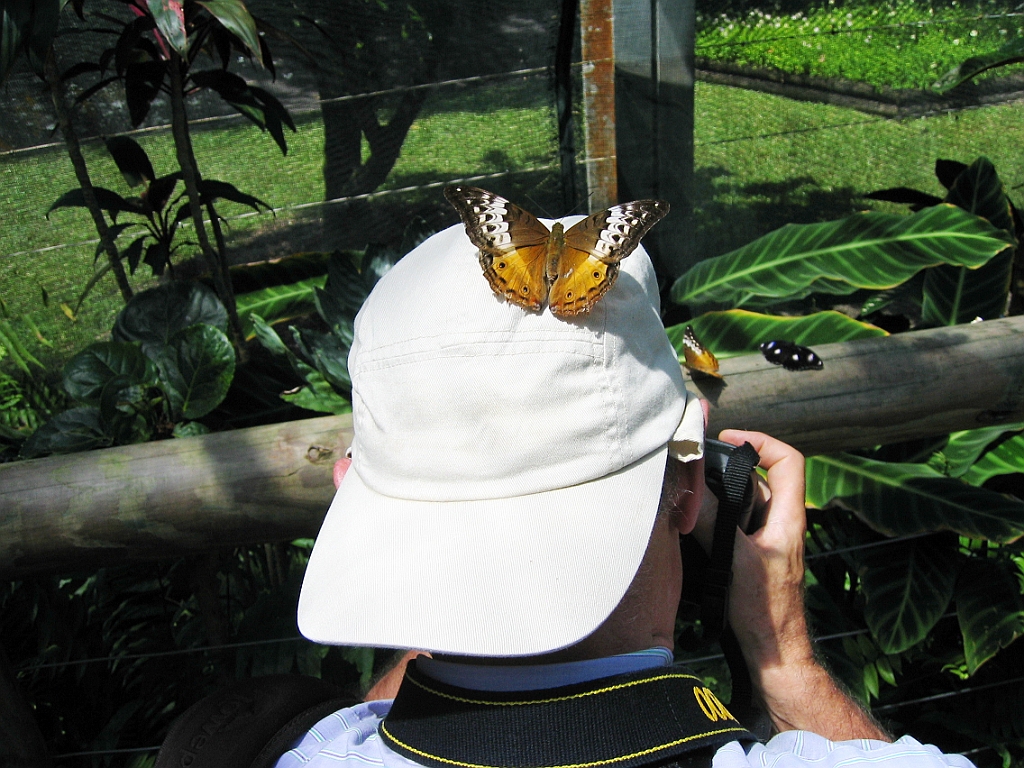 013 Butterfly Sanctuary.jpg